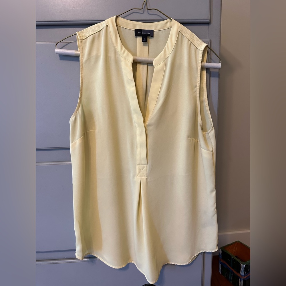 The Limited Blouse